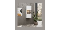 Petite vitrine suspendue 1 porte partiellement vitrée collection EVA. Couleur blanc et chêne.