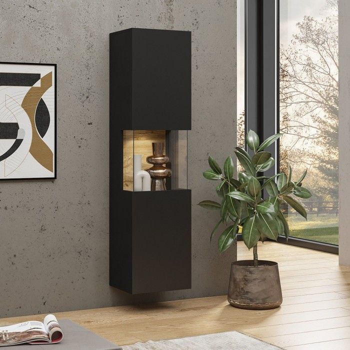 Vitrine 1 porte partiellement vitrée collection EVA. Couleur noir et chêne.