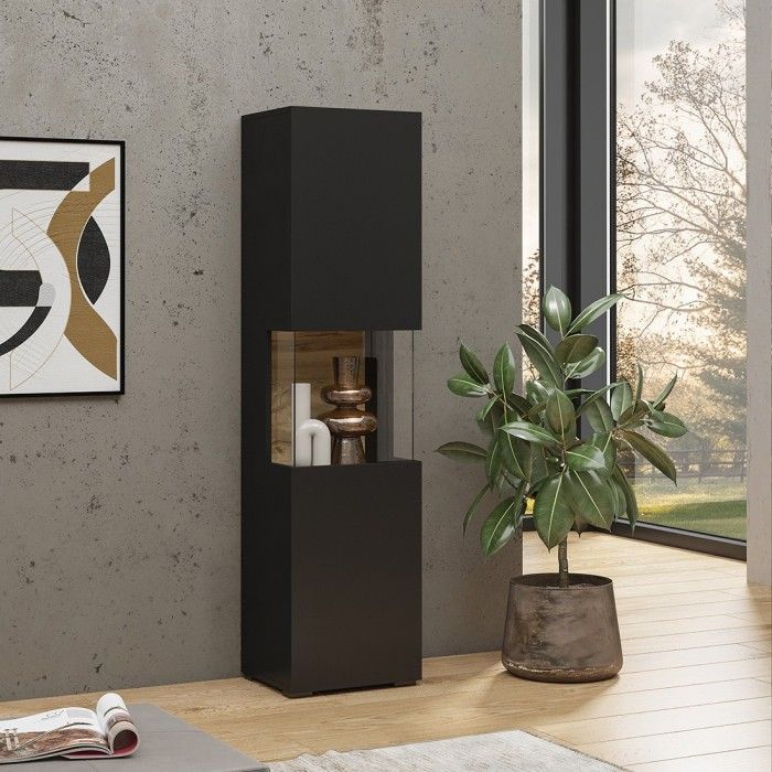 Vitrine 1 porte partiellement vitrée collection EVA. Couleur noir et chêne.