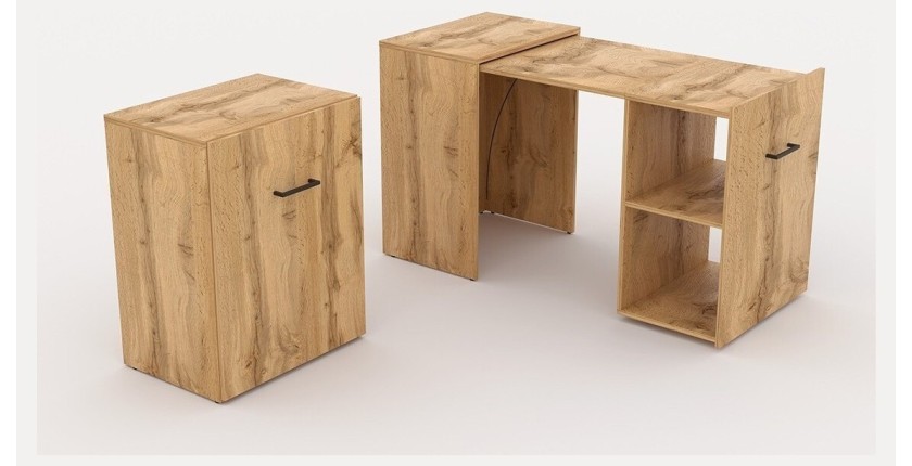 Bureau pliable spécial petite espace collection FLIP coloris Pin.