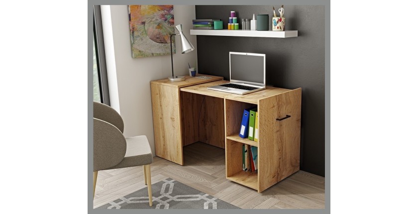 Bureau pliable spécial petite espace collection FLIP coloris Pin.