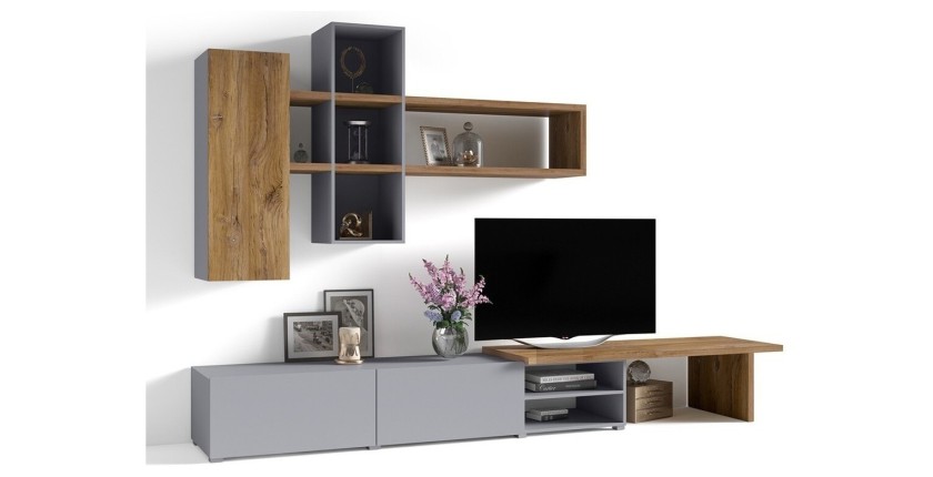 Composition de meubles design pour salon coloris gris et chêne collection ASTY.