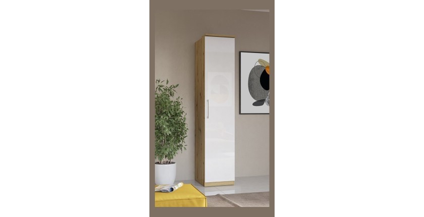 Armoire 1 porte pour dressing collection MODULO coloris chêne et blanc brillant avec LED incluses.