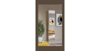 Armoire 1 porte avec miroir pour dressing collection MODULO coloris chêne avec LED incluses.