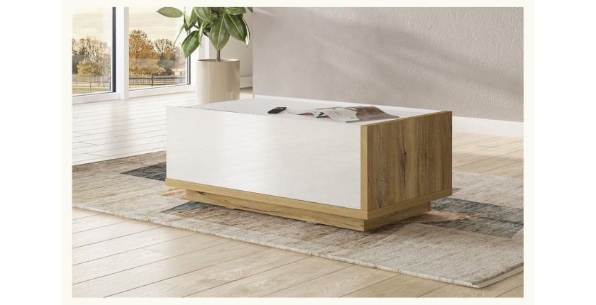 Table basse design avec une porte abattante collection MENDOZA. Couleur chêne et blanc.
