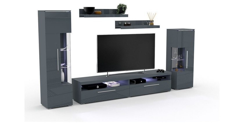 Composition de 5 meubles design pour salon coloris gris brillant collection BOMBAY