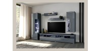 Composition de 5 meubles pour salon coloris gris brillant collection BOMBAY