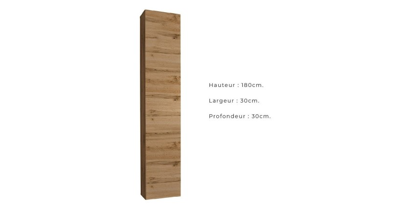 Armoire suspendue coloris chêne pour salon collection SWITCH.