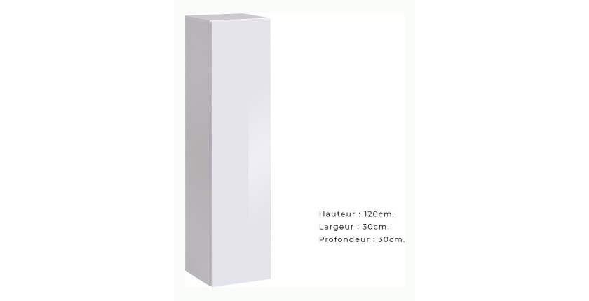 Armoire suspendue moyen modèle coloris blanc pour salon collection SWITCH.