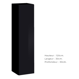 Armoire suspendue moyen modèle coloris noir pour salon collection SWITCH.