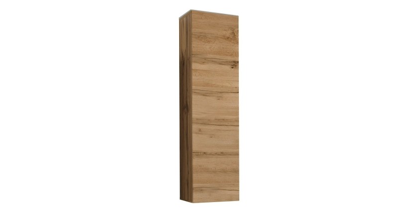 Armoire suspendue moyen modèle coloris chêne pour salon collection SWITCH.