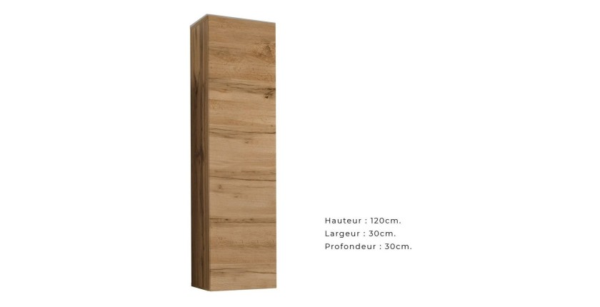 Armoire suspendue moyen modèle coloris chêne pour salon collection SWITCH.