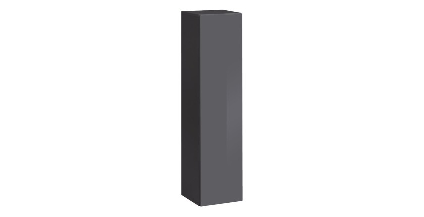 Armoire suspendue coloris gris 30x120cm pour salon collection SWITCH.