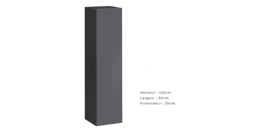 Armoire suspendue coloris gris 30x120cm pour salon collection SWITCH.