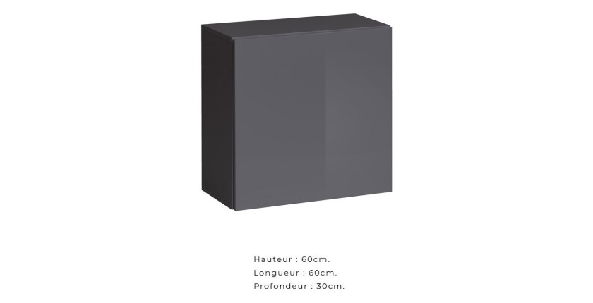 Armoire suspendue coloris gris 60x60cm pour salon collection SWITCH.