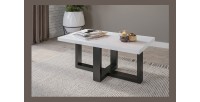 Table basse design rectangulaire collection COXI Couleur noir et blanc.