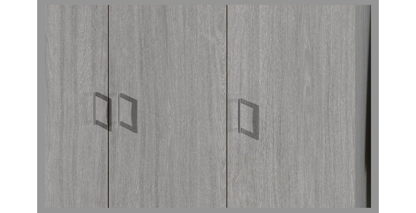 Garde Robe REY, armoire 3 portes idéal pour votre entrée, votre buanderie ou votre sdb