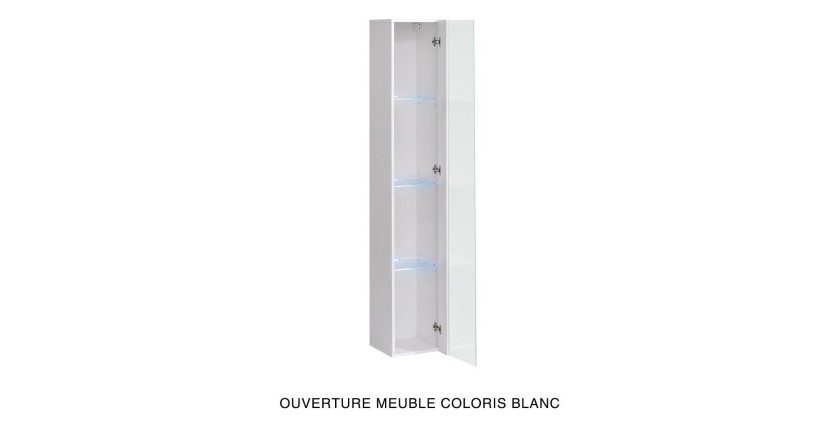 Vitrine suspendue noire avec 1 porte vitrée et éclairage LED inclus. Collection SWITCH.