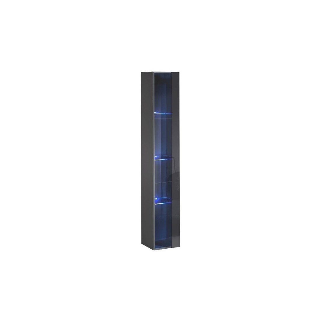 Vitrine suspendue grise avec 1 porte vitrée et éclairage LED inclus. Collection SWITCH.