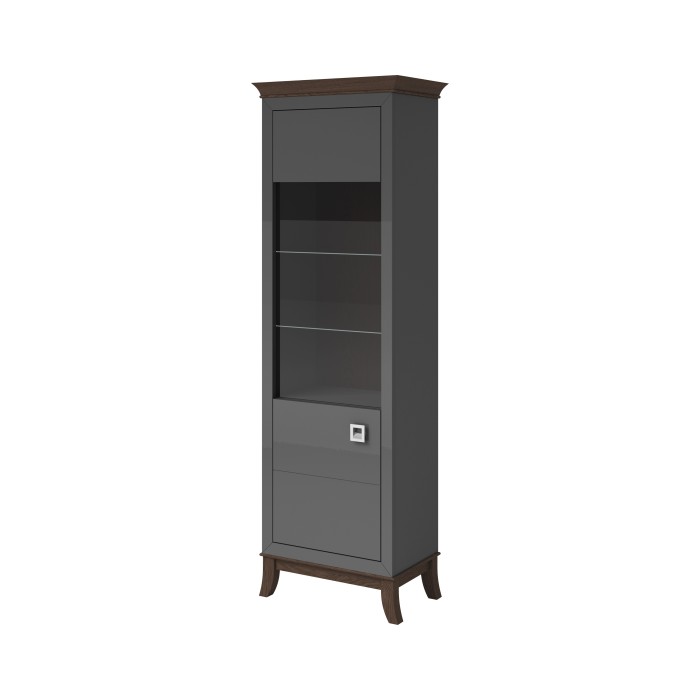 Vitrine design 1 porte collection PALACE. Couleur gris et chêne foncé.