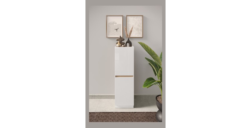 Meuble de rangement design 2 portes collection FANZY. Coloris blanc laqué & chêne clair