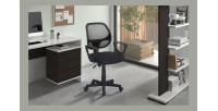 Chaise de bureau IPOLIST Tissu filet, idéal pour un bureau confortable et moderne