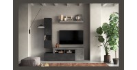 Ensemble de meubles de salon collection FREDO avec tiroir et 2 portes. Coloris gris effet béton et plomb