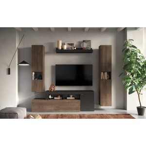 Ensemble de meubles de salon collection FREDO avec tiroir et 3 portes. Coloris noir et chêne foncé