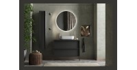 Meuble de salle de bain avec évier et 2 tiroirs, collection FRASSI. Coloris noir cendré