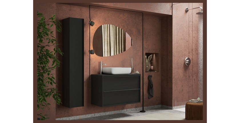 Meuble de salle de bain suspendu avec évier et 2 tiroirs, collection FRASSI. Coloris noir cendré