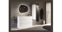 Meuble de salle de bain suspendu, 1porte, collection VIENNE. Coloris blanc brillant