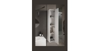 Meuble de salle de bain suspendu, 1porte, collection VIENNE. Coloris blanc brillant