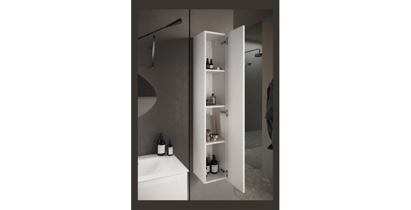 Meuble de salle de bain suspendu, 1porte, collection VIENNE. Coloris blanc brillant