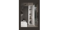Meuble de salle de bain suspendu, 1porte, collection VIENNE. Coloris blanc brillant