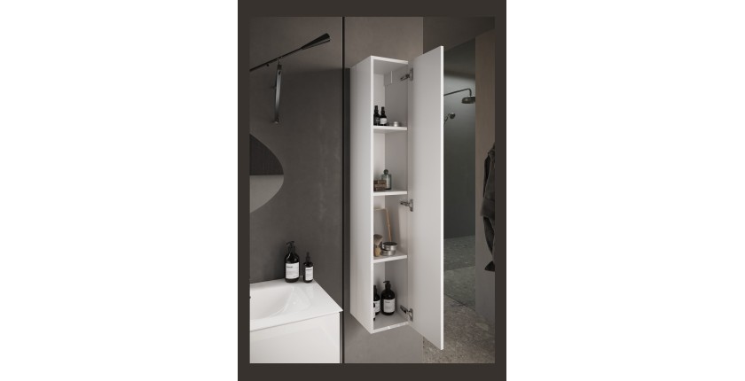 Meuble de salle de bain suspendu, 1porte, collection VIENNE. Coloris blanc brillant