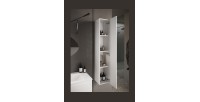 Meuble de salle de bain suspendu, 1porte, collection CISA. Coloris blanc brillant