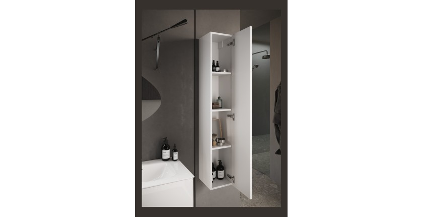 Meuble de salle de bain suspendu, 1porte, collection CISA. Coloris blanc brillant