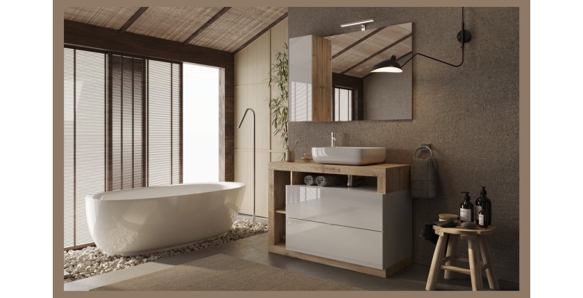 Meuble de salle de bain avec une vasque et 2 tiroirs,  collection BURA. Coloris blanc brillant et chêne clair