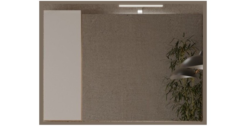 Miroir design avec rangement, 110x75 cm, collection BURA, coloris blanc brillant et chêne clair