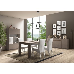 Vitrine design 2 portes collection FANZY. Coloris marron \ chêne foncé