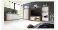 Meuble TV 1 porte sans éclairage ACCESS. Coloris blanc et chêne foncé