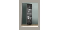 Vitrine 1 porte collection IRON. Coloris chêne noir
