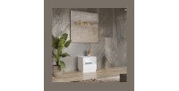 Petit Meuble TV ou meuble d'appoint 50cm collection ZANTE avec 1 tiroir et une niche. Couleur blanc brillant