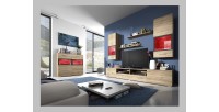 Composition de 5 meubles design pour salon couleur chêne et gris anthracite collection CONNOR
