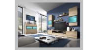 Composition de 5 meubles design pour salon couleur chêne et gris anthracite collection CONNOR
