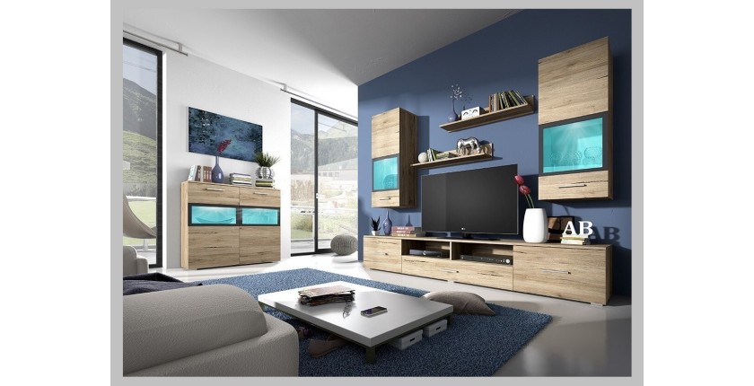 Composition de 5 meubles design pour salon couleur chêne et gris anthracite collection CONNOR