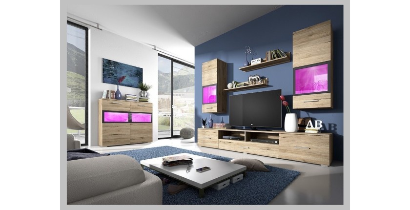 Composition de 5 meubles design pour salon couleur chêne et gris anthracite collection CONNOR