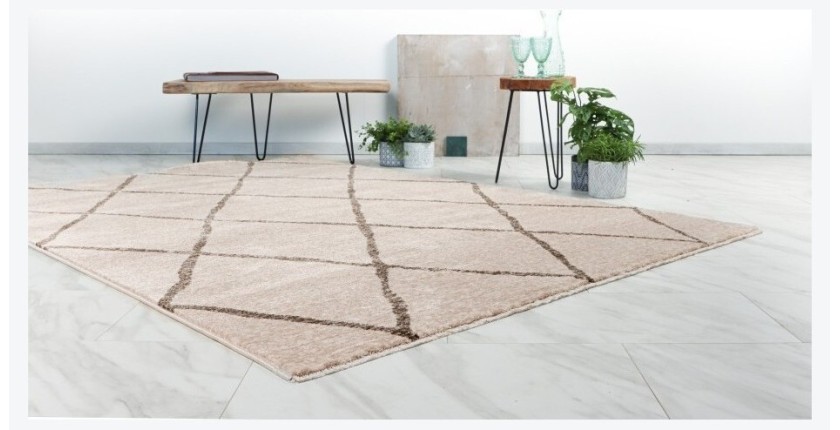 Tapis 150x80cm, beige - Confort et élégance pour votre intérieur