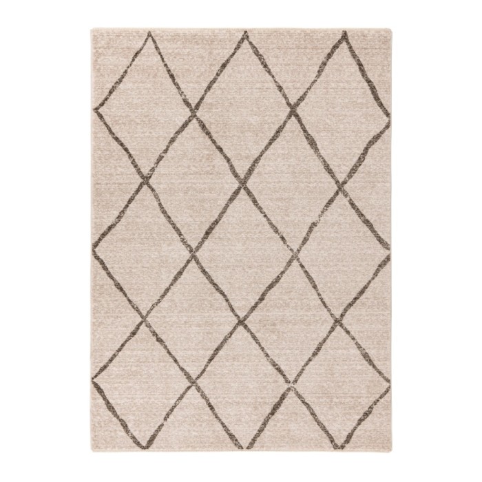 Tapis 230x160cm, beige - Confort et élégance pour votre intérieur