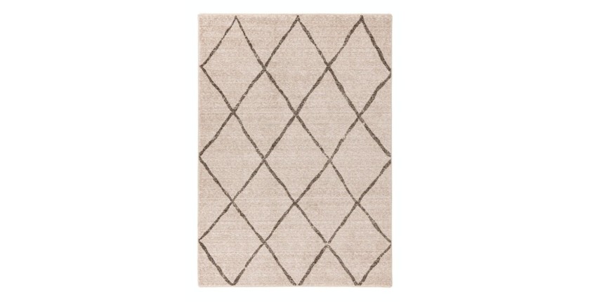 Tapis 230x160cm, beige - Confort et élégance pour votre intérieur